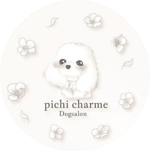 【弘明寺駅徒歩3分】横浜市南区の小型犬専門トリミングサロン｜pichi charme